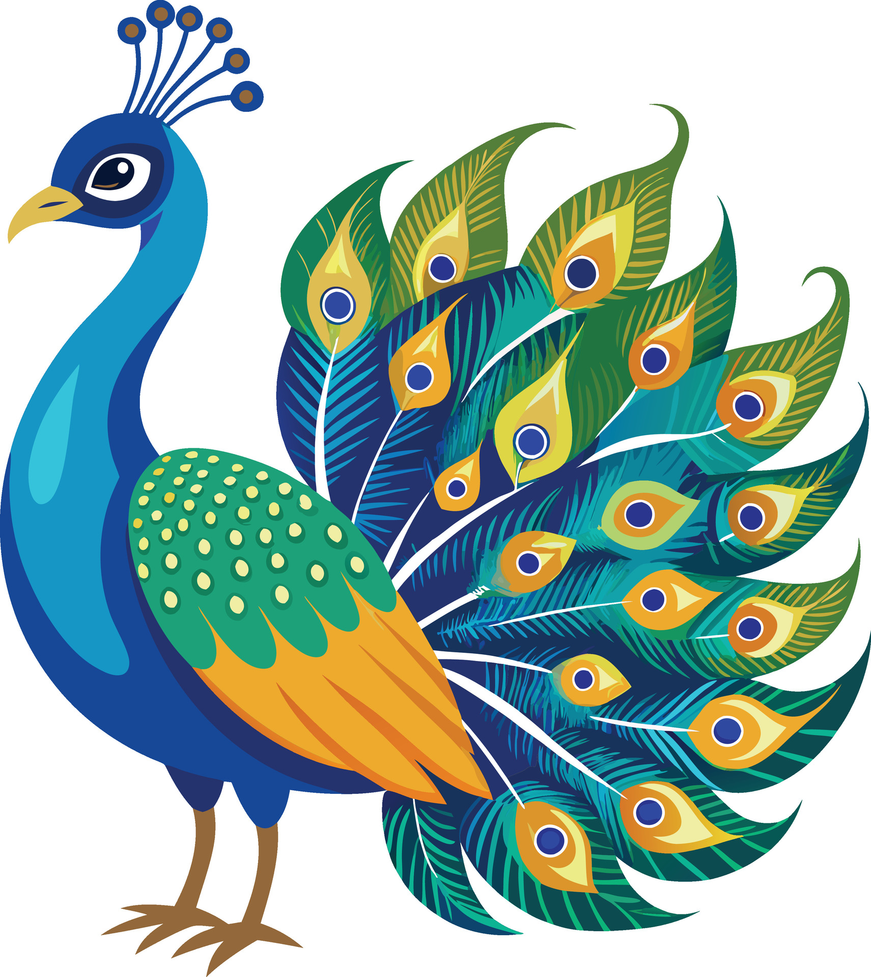Attachment for Peacock Image